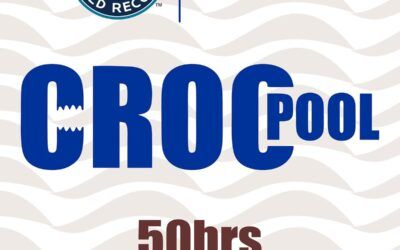 CrocPool Business Pitch