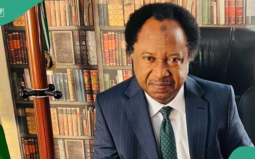 Fuel Price: Shehu Sani Explains Why This is the Time to Enjoy Crude Oil