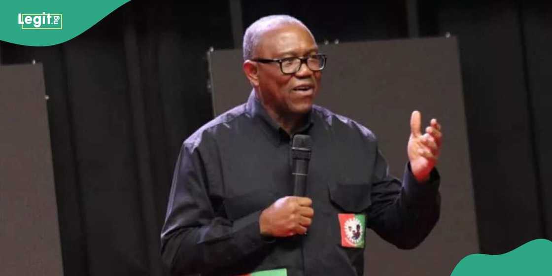 Okwuosa says joint ticket would make Obi's presence in the north more prominent Okwuosa says joint ticket would make Obi's presence in the north more prominent